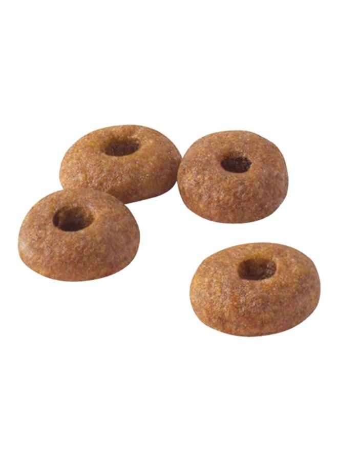 رويال كانين طعام فيت 32 المجفف للتغذية الصحية للقطط 2كيلوجرام - Image 2