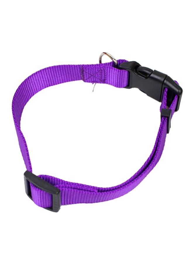 Adjustable Dog Safety Collar Purple/Black
