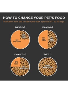ROYAL CANIN Dry Food For Mini Dogs Multicolour 8kg  - Image 2