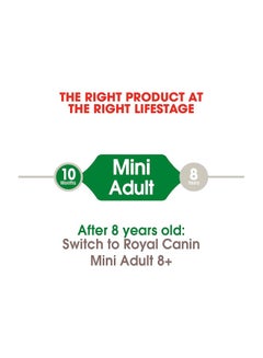 ROYAL CANIN Mini Dry Food 4kg  - Image 2