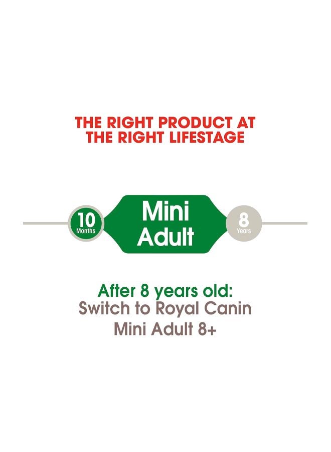 رويال كانين طعام جاف للجراء 4كيلوجرام - Image 2