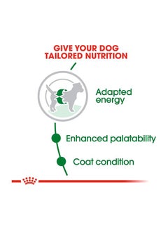 ROYAL CANIN Mini Dry Food 4kg  - Image 3