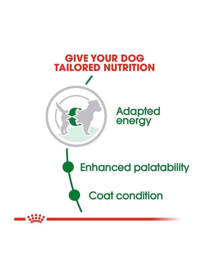 رويال كانين طعام جاف للجراء 4كيلوجرام - Image 3