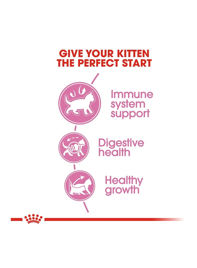 رويال كانين طعام مجفف للقطط بني 10كيلوجرام - Image 3