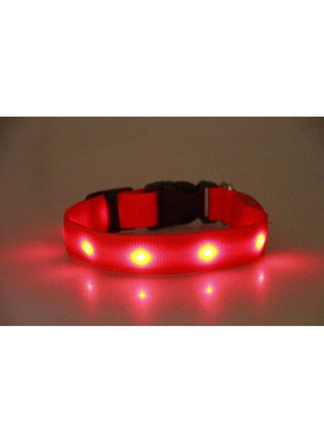 بيوينتي حزام مقود من النايلون للحيوانات الأليفة أحمر/أسود/وردي 40سم - Image 3