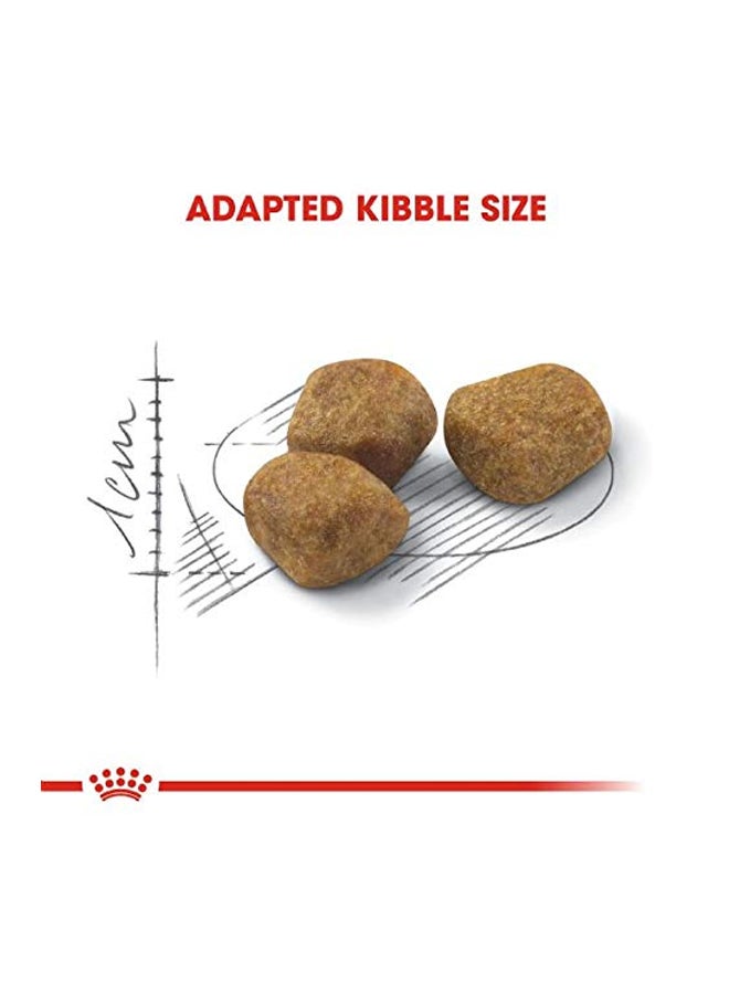 رويال كانين طعام فيت 32 المجفف للتغذية الصحية للقطط 2كيلوجرام - Image 2