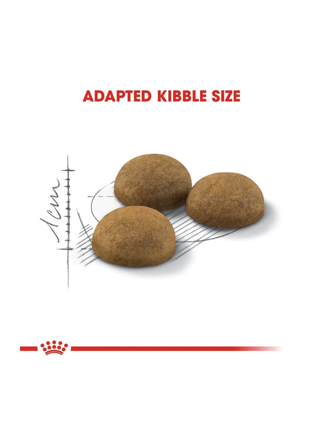 ROYAL CANIN Home Life Indoor Long Hair Dry Food Brown 2kg  - Image 3