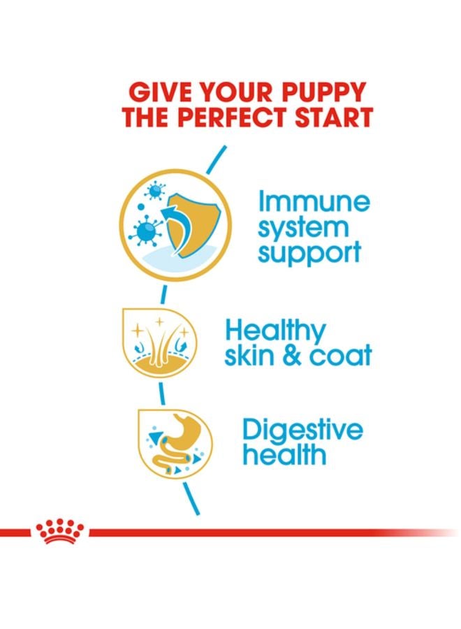 رويال كانين غذاء صحي لنسل شيه تزو حديث السن 1.5كيلوجرام - Image 2