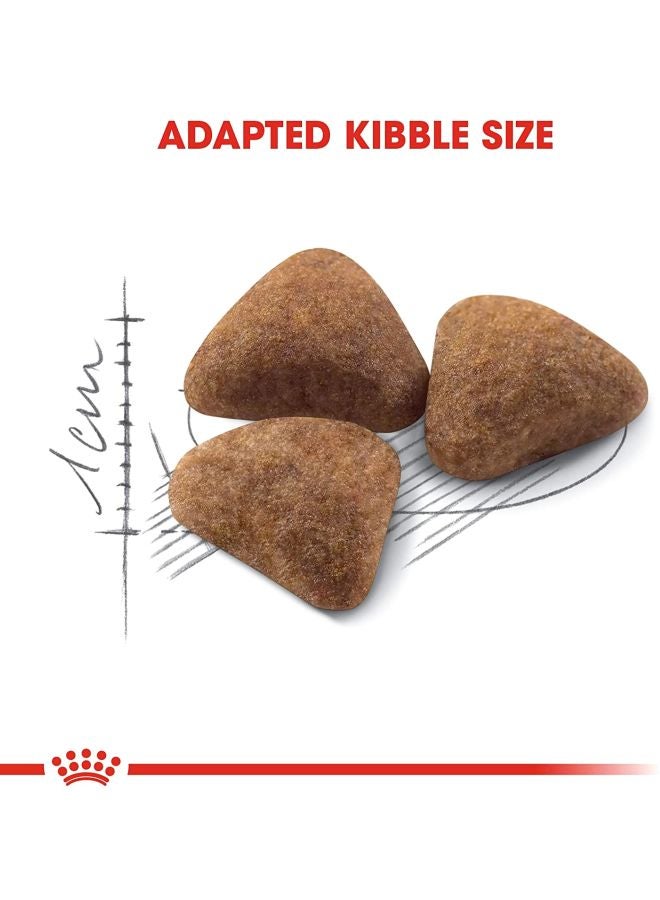 رويال كانين طعام قطط للحد من الرائحة في الأماكن الداخلية 400جرام - Image 5