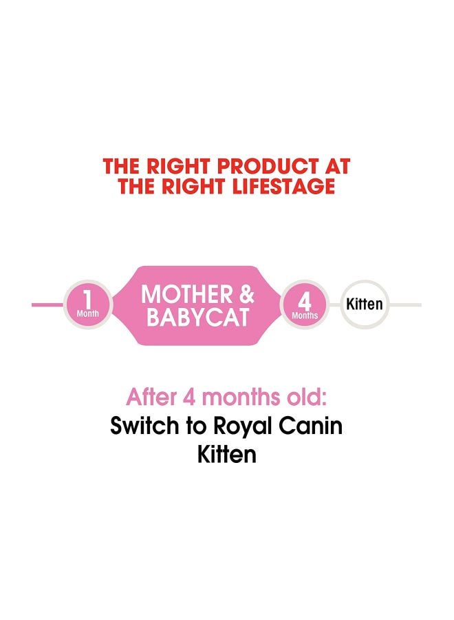 ROYAL CANIN Health Nutrition Mother And Baby cat Dry Food 400grams - Image 2