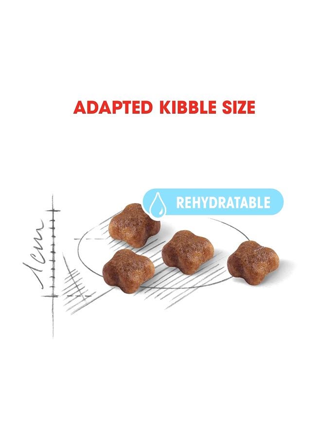 ROYAL CANIN Health Nutrition Mother And Baby cat Dry Food 400grams - Image 4