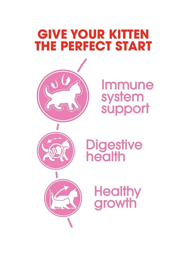 رويال كانين طعام جاف لصغار القطط بعمر من 4 أشهر حتى السنة 400جرام - Image 5