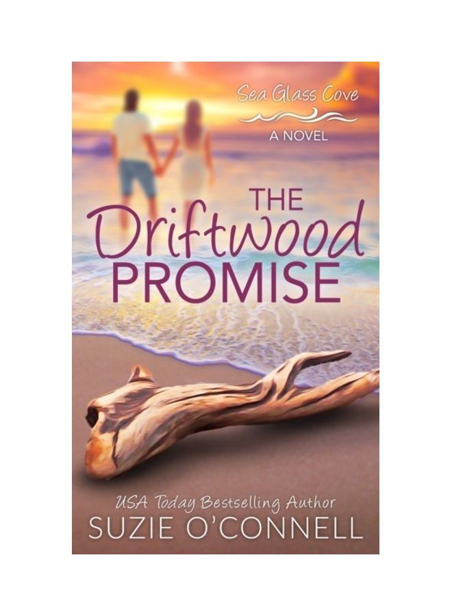 The Driftwood Promise paperback english