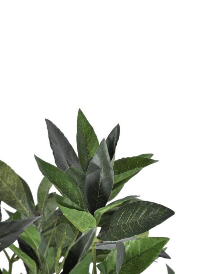 آنسيلف شجرة غار صناعية مزروعة في أصيص أخضر 120سم - Image 2