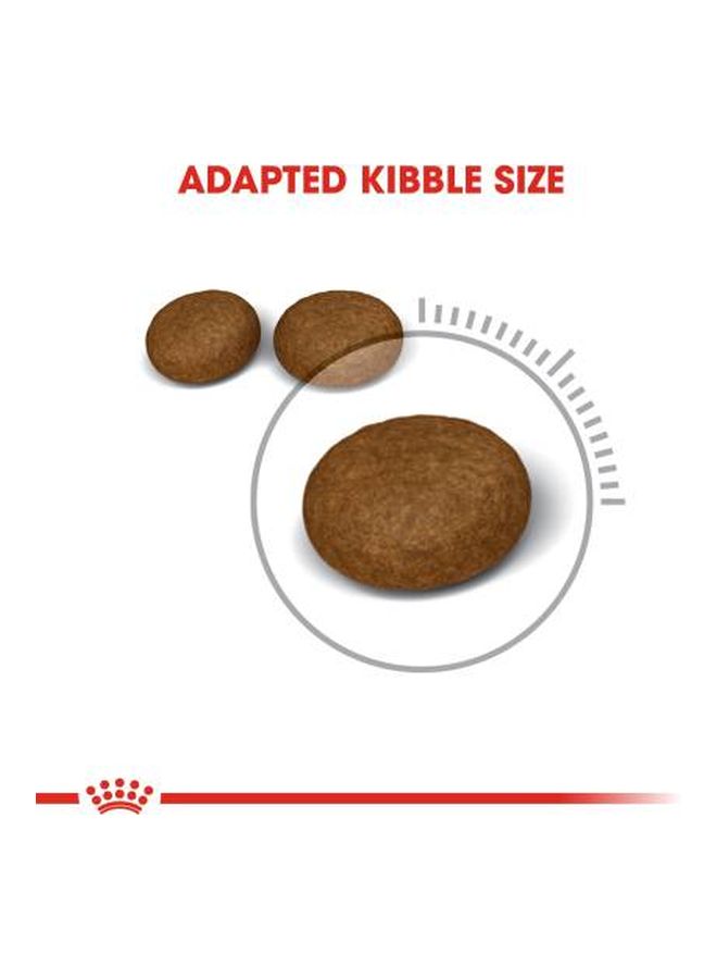 رويال كانين طعام للعناية بالشعر والفراء 2كيلوجرام - Image 3