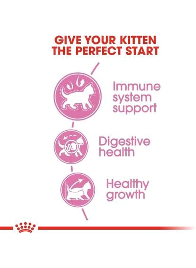 رويال كانين طعام جاف لصغار القطط بعمر من 4 أشهر حتى السنة 2كيلوجرام - Image 3