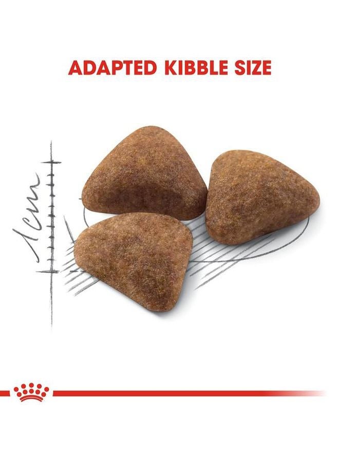 رويال كانين طعام هوم لايف إندور 4كيلوجرام - Image 2