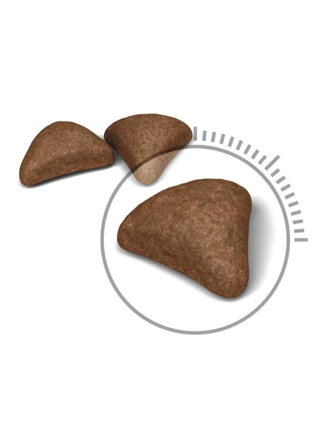 ROYAL CANIN Feline Care Nutrition Hairball Dry Food 2kg - Image 2