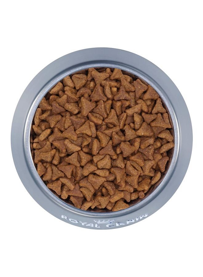 ROYAL CANIN Feline Care Nutrition Hairball Dry Food 2kg - Image 3