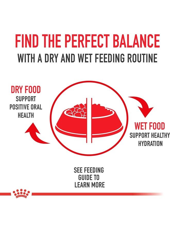 ROYAL CANIN Feline Care Nutrition Hairball Dry Food 2kg - Image 4