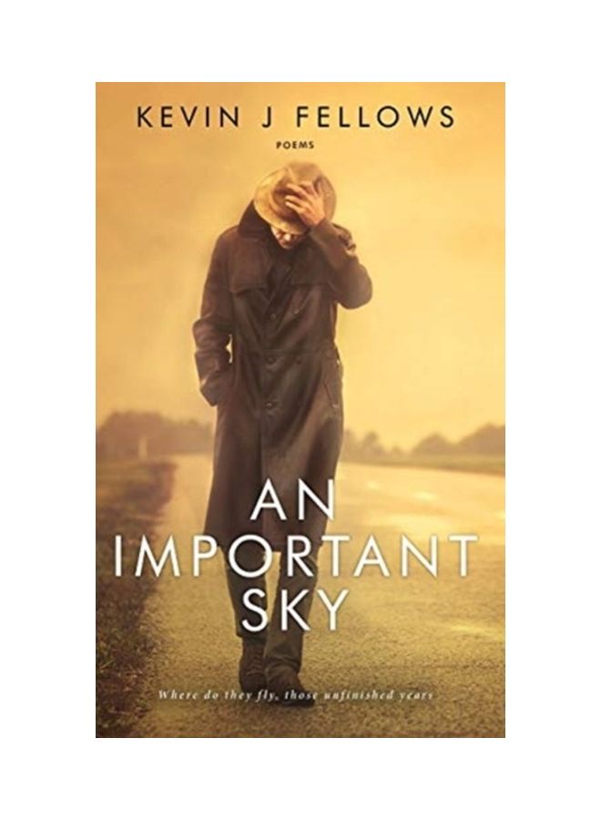 An Important Sky: Poems paperback english