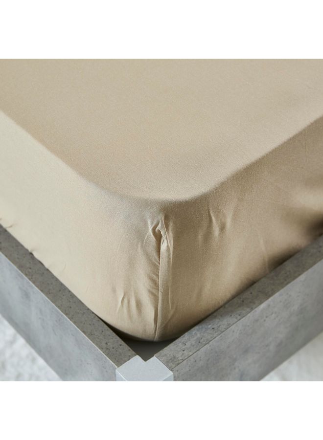 Wellington Twin Size Fitted Sheet Cotton Beige 120x200cm - v1611937724/N44063496A_3