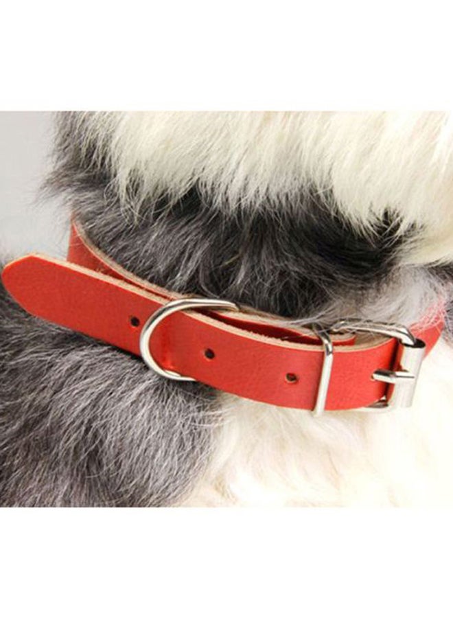 Beauenty Nylon Dog Leash Red/Beige/Silver S - Image 2