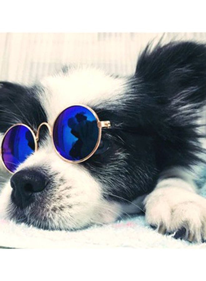 Beauenty Hipster UV Protection Pet Sunglasses Blue/Gold/Black 8centimeter - Image 2