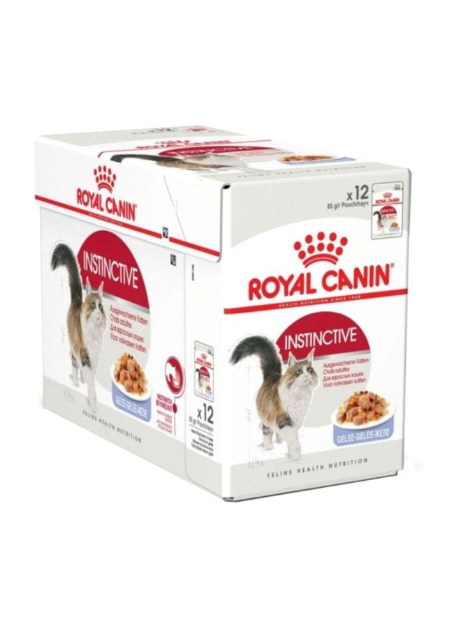 رويال كانين طعام رطب جيلي غريزي من 12 قطعة 85جرام - Image 2