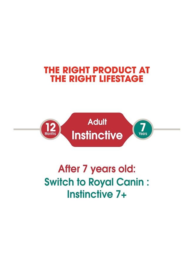 رويال كانين طعام رطب جيلي غريزي من 12 قطعة 85جرام - Image 3