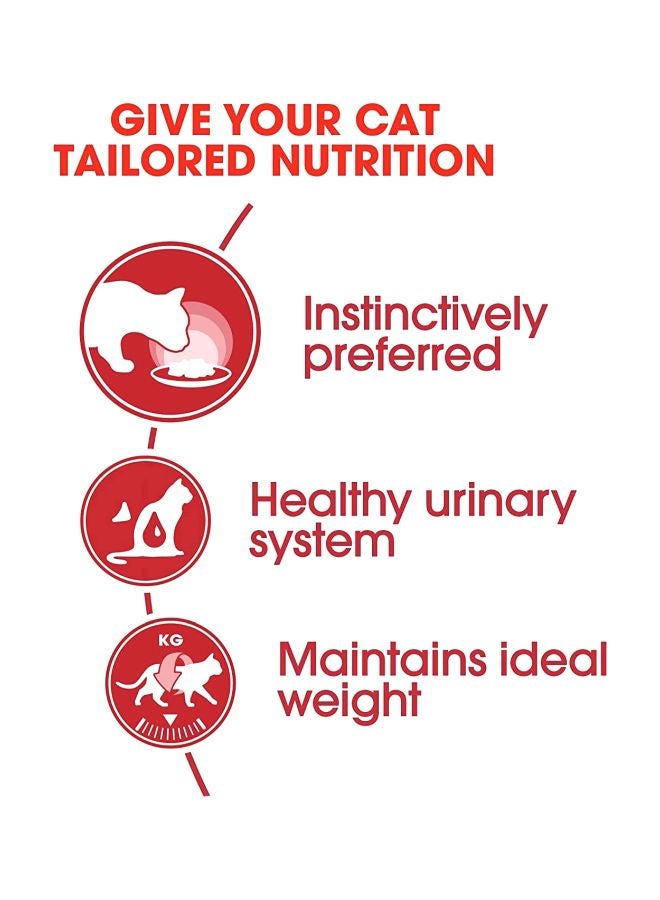 رويال كانين طعام رطب جيلي غريزي من 12 قطعة 85جرام - Image 4