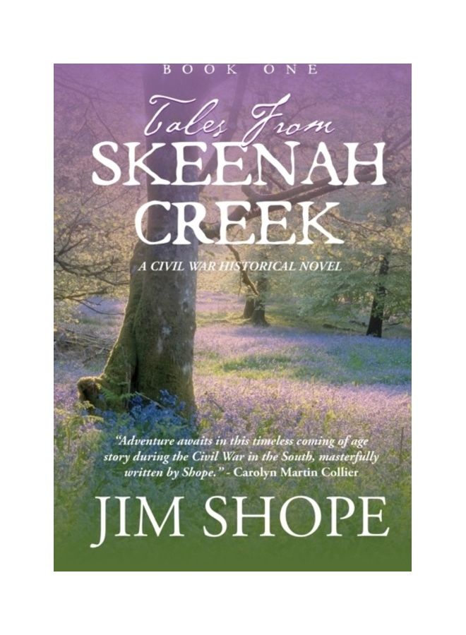 Tales From Skeenah Creek: A Civil War Historical Fiction Novel paperback english