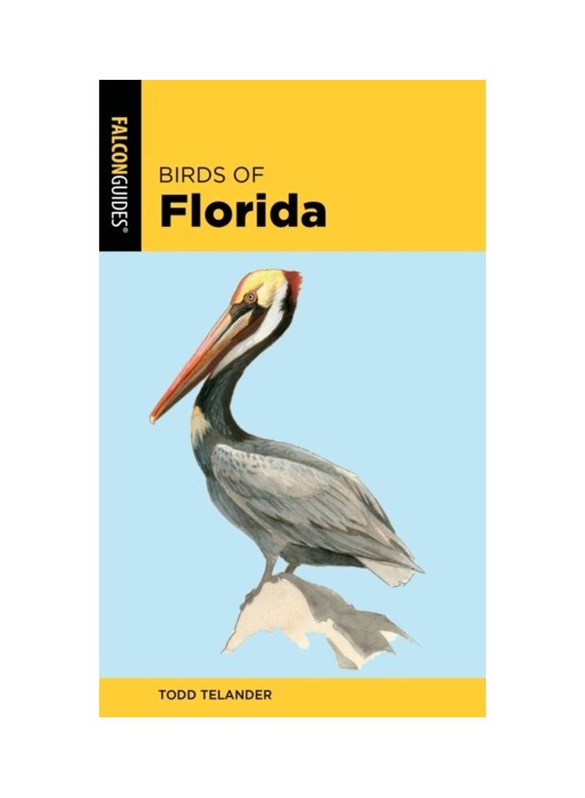 Birds Of Florida paperback english