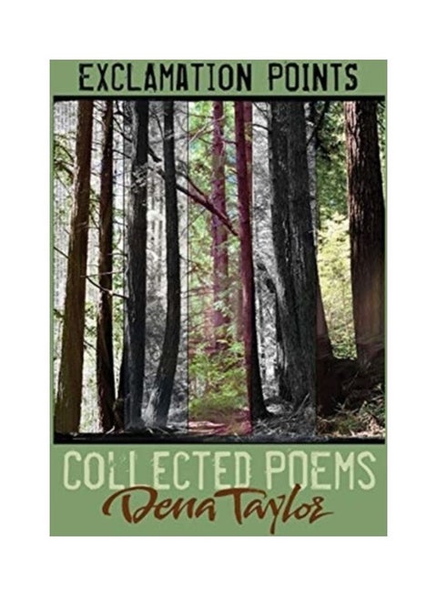 Exclamation Points Paperback English by Dena Taylor