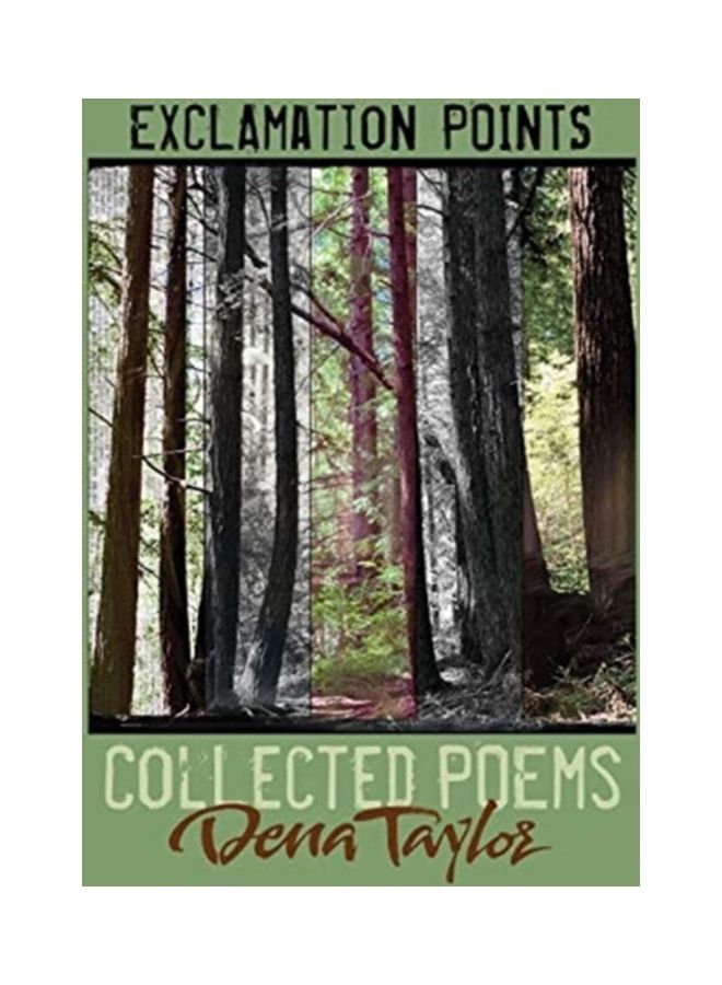 Exclamation Points Paperback English by Dena Taylor