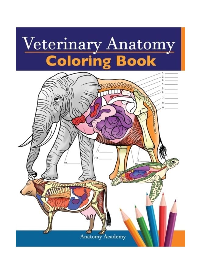 Veterinary Anatomy Coloring Book Paperback English by Anatomy Academy 