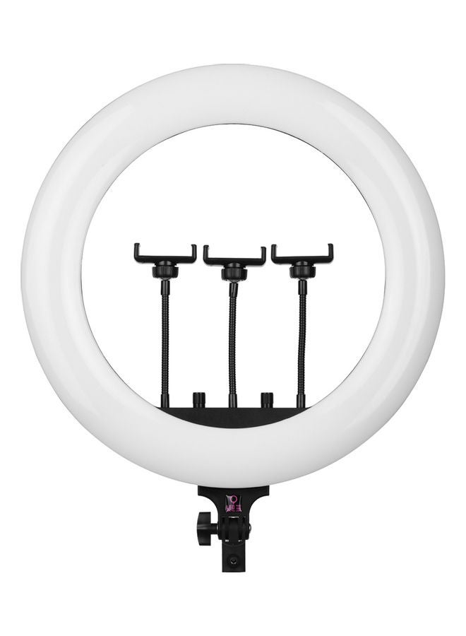 طَقم حلقة إضاءة LED قابلة للتعتيم لتصوير الفيديو أبيض - Image 3