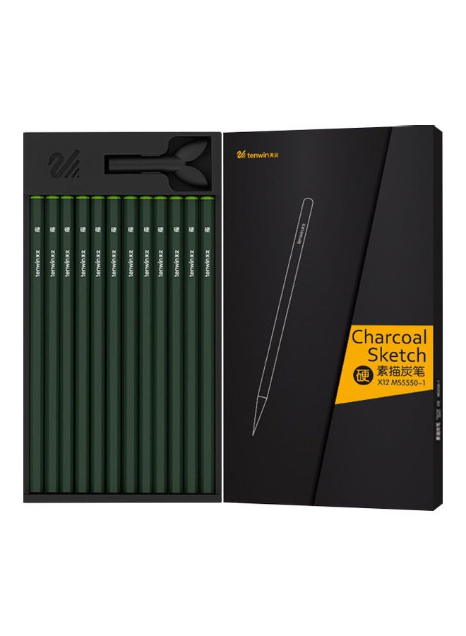 tenwin 12-Piece Professional Charcoal Sketch Pencil With Cap Green