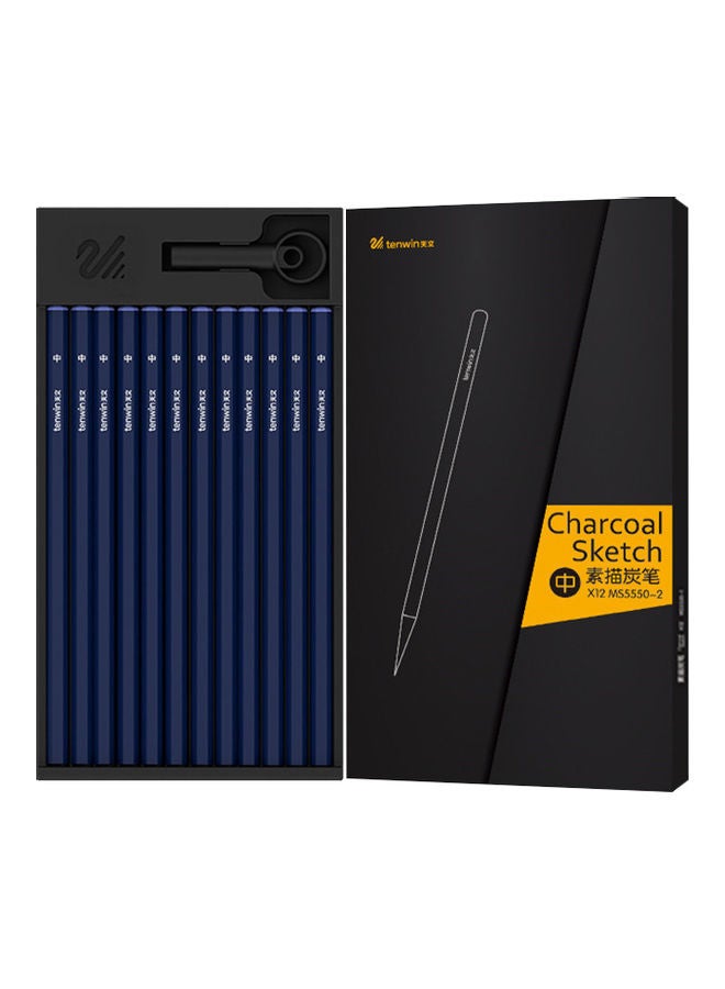 tenwin 12-Piece Professional Charcoal Sketch Pencil With Cap Blue