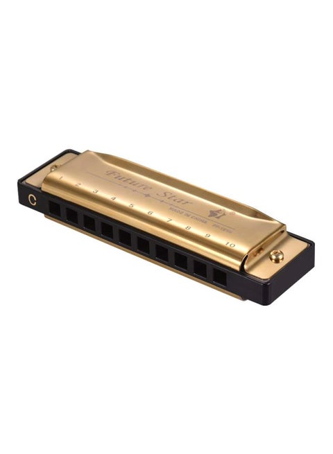 10-Hole Diatonic Harmonica