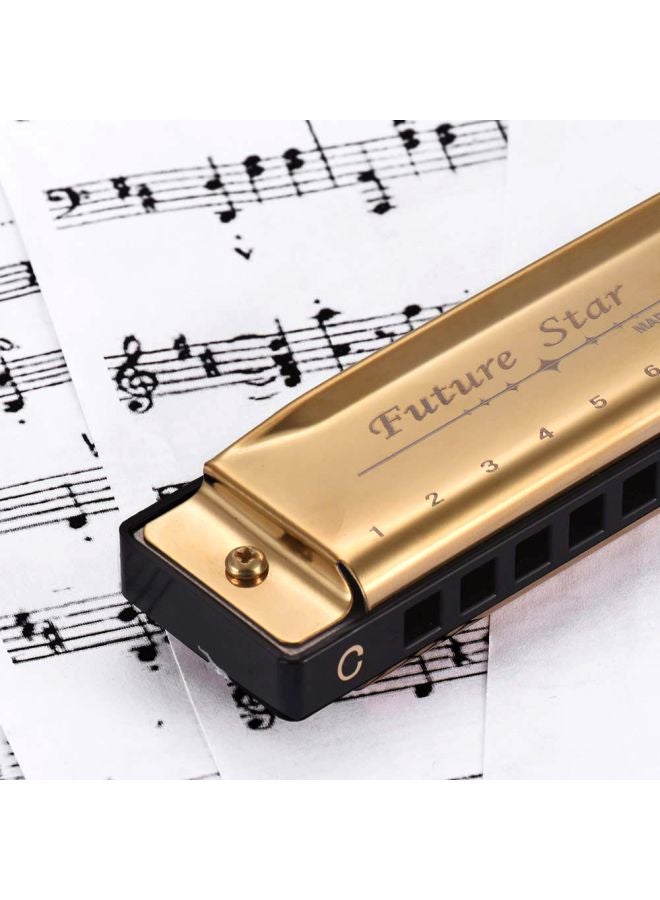 KKmoon 10-Hole Diatonic Harmonica  - Image 3