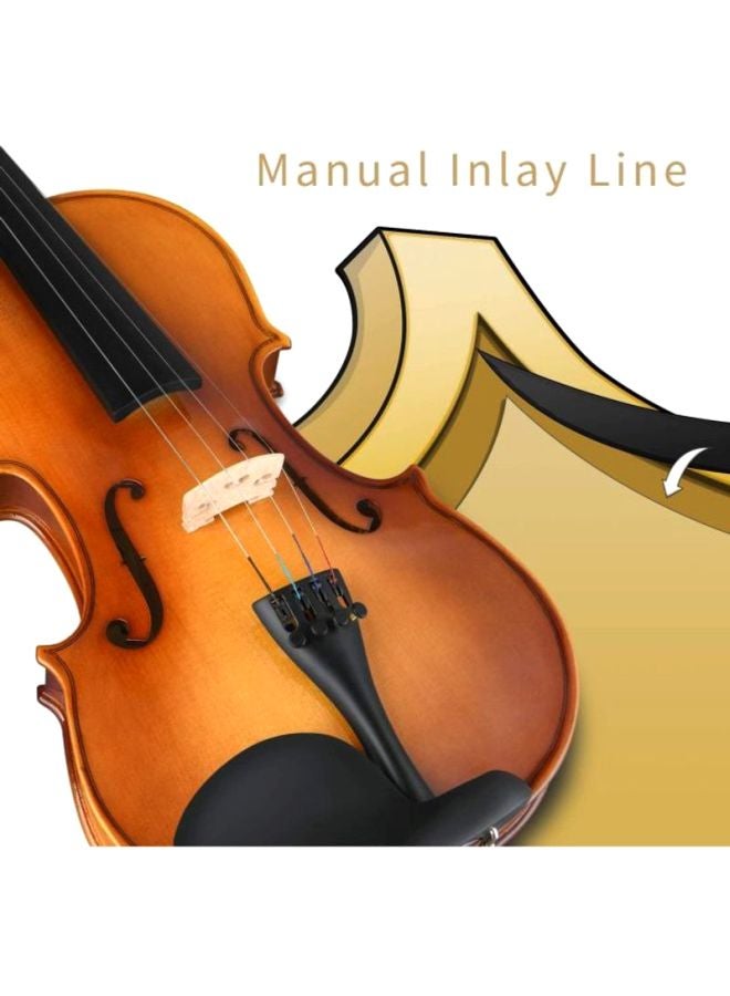Violin With Bow And Rosin