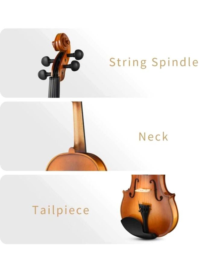 Violin With Bow And Rosin