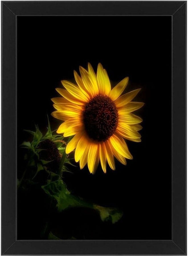 Wooden Framed Printed Poster Multicolour 21x30cm