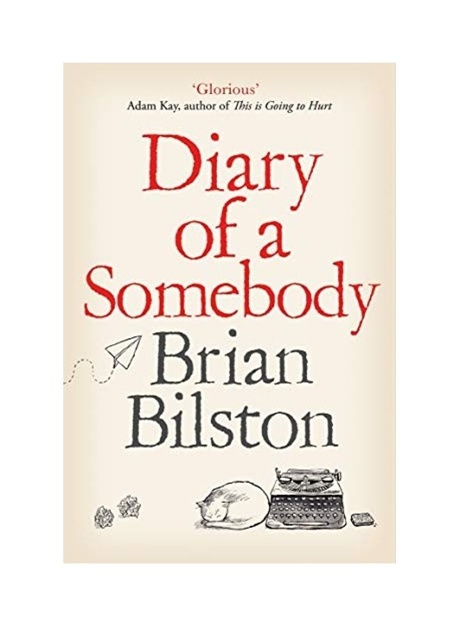 Diary Of A Somebody Paperback English by Brian Bilston