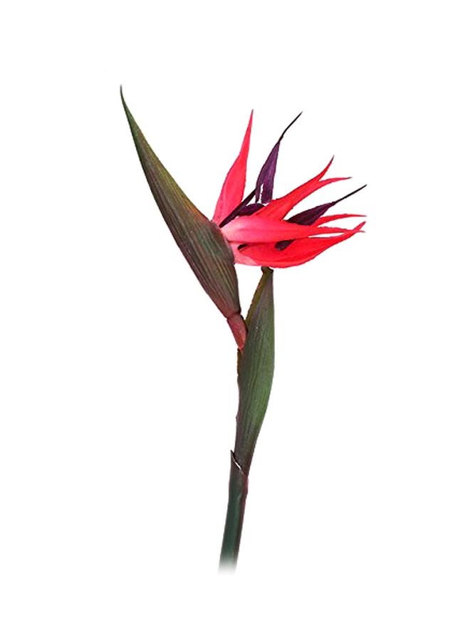 Bird Of Paradise Silk Strelitzia Reginae Artificial Flower Red/Green/Purple 90cm - v1612186295/N13321173A_1