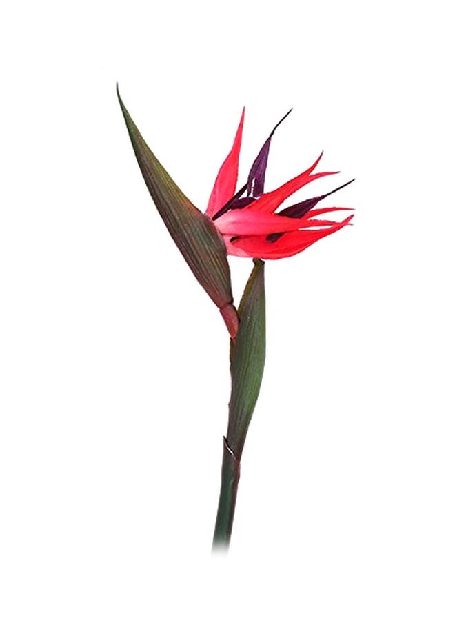 Bluelans Bird Of Paradise Silk Strelitzia Reginae Artificial Flower Red/Green/Purple 90cm  - Image 1