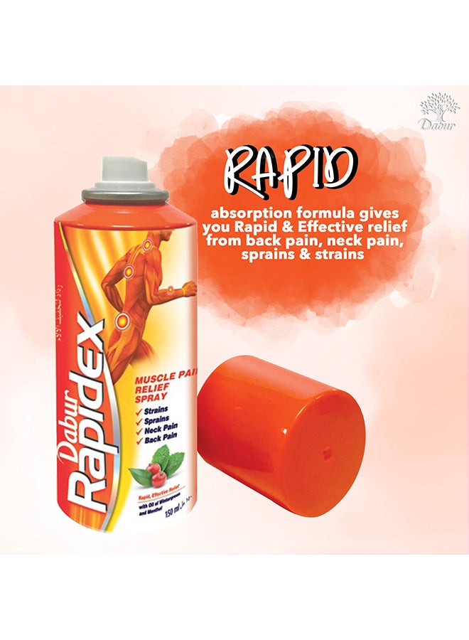 دابر بخاخ رابيدكس لتخفيف آلام العضلات 150 مل - Image 4