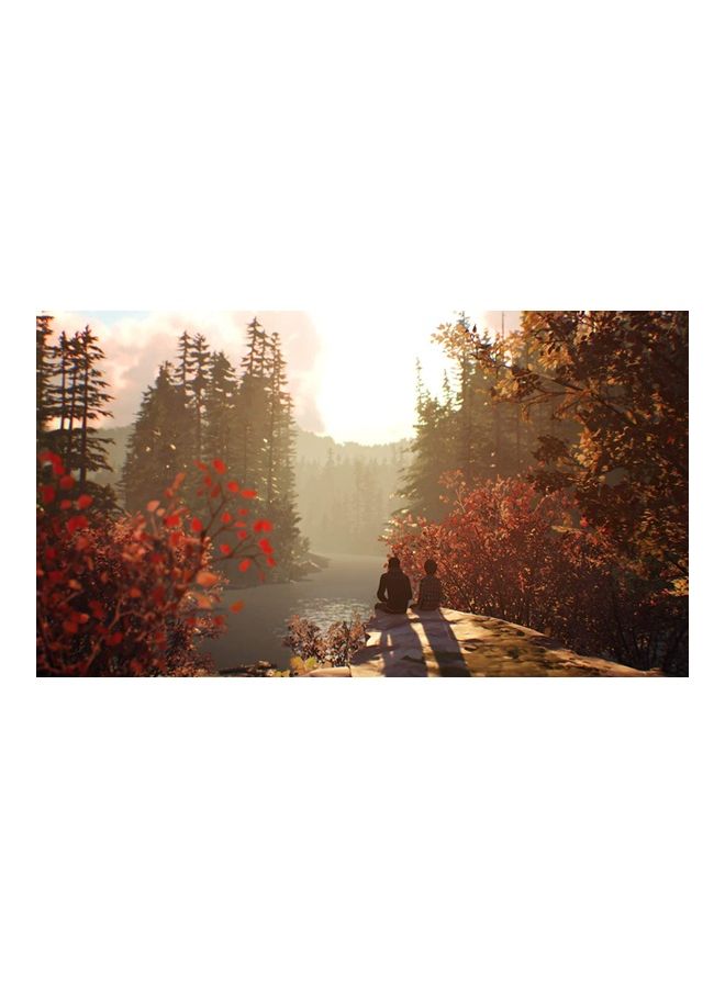 Square Enix - Life Is Strange 2 (Intl Version) - PlayStation 4 (PS4) - Image 1