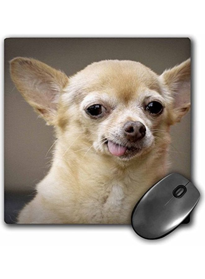 3DROSE - Toothless Chihuahua Dog Printed Mouse Pad Multicolour - Image 1